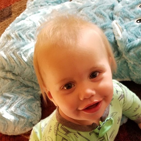 Meet your Posher, Amy - Picture 1 of 1